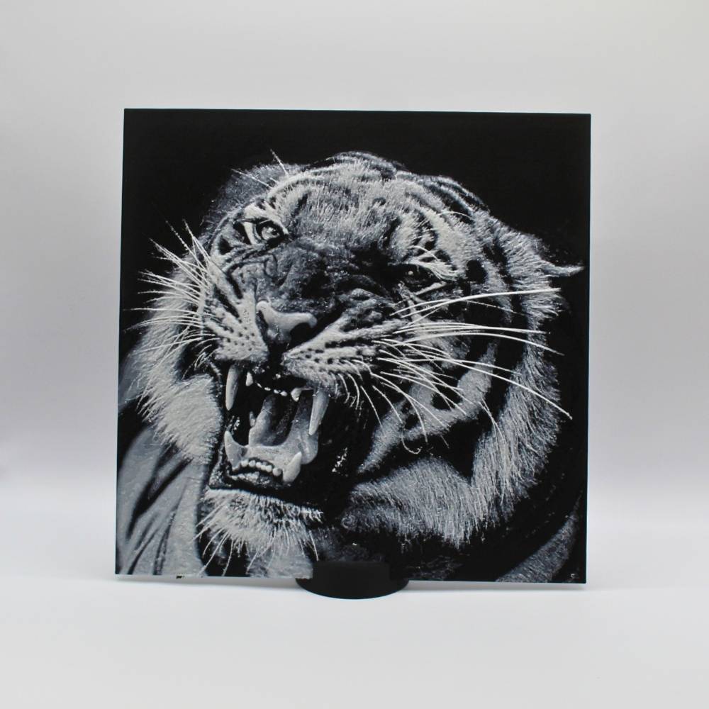 Photos 3D tigre rugissant Photos 3D tigre rugissant