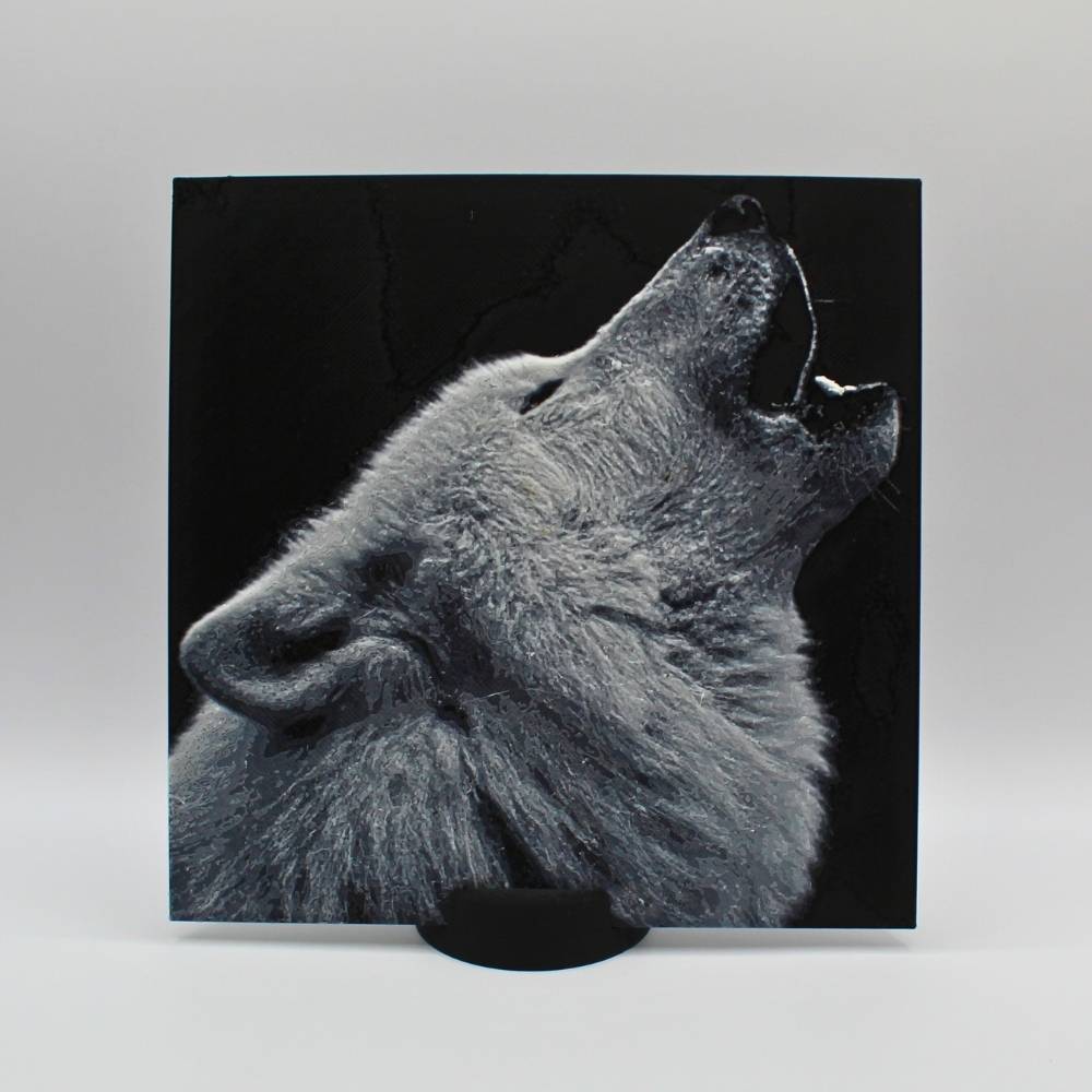 Image d'un produit coup de coeur du moment Sous-verres motif panier en couleur blanc mat