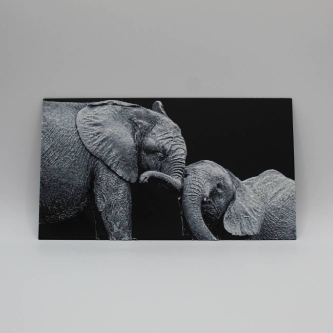 Éléphant et son petit