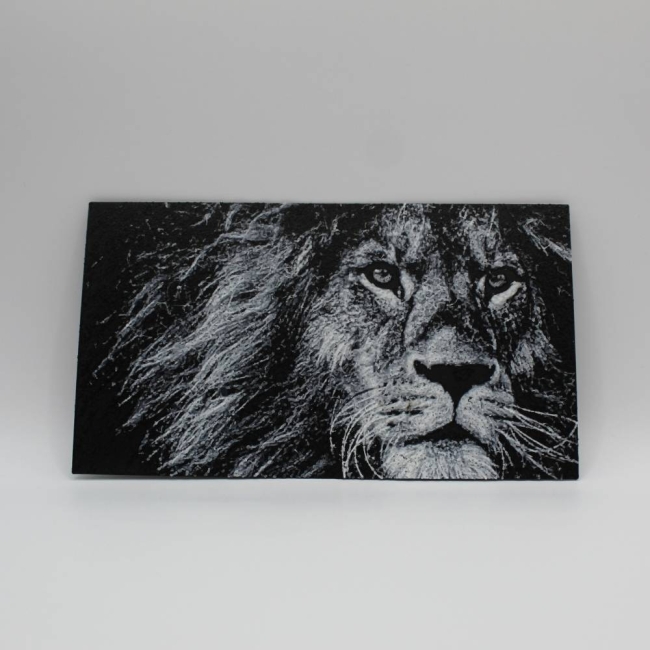 Lion - Le regard du roi